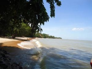 praia e floresta (1)